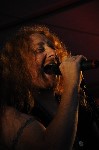 Thumbs/tn_Bild 193.jpg